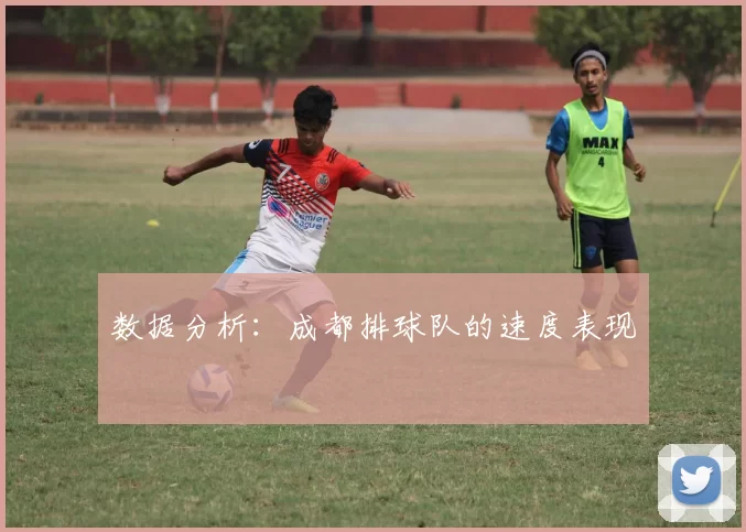 数据分析：成都排球队的速度表现
