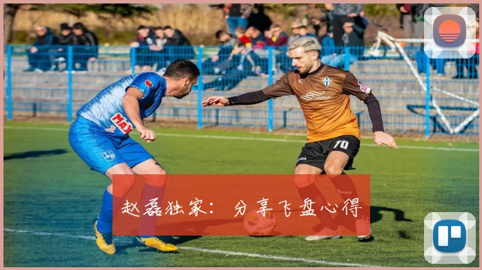 赵磊独家：分享飞盘心得