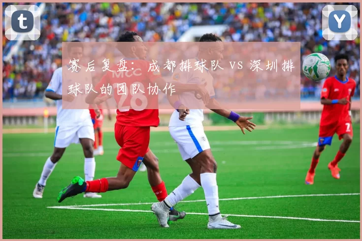 赛后复盘：成都排球队 vs 深圳排球队的团队协作