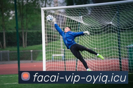 开云体育平台生态图